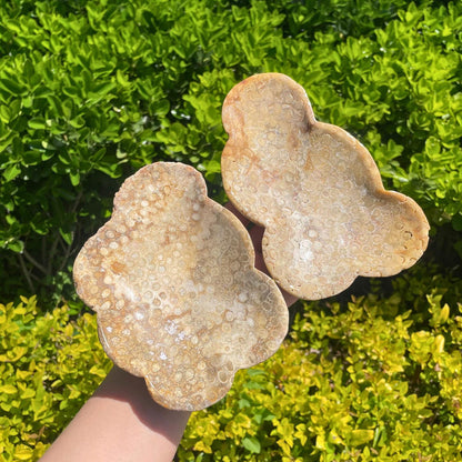 Natural Coral Fossil Bowl quote-only