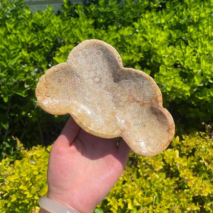 Natural Coral Fossil Bowl quote-only