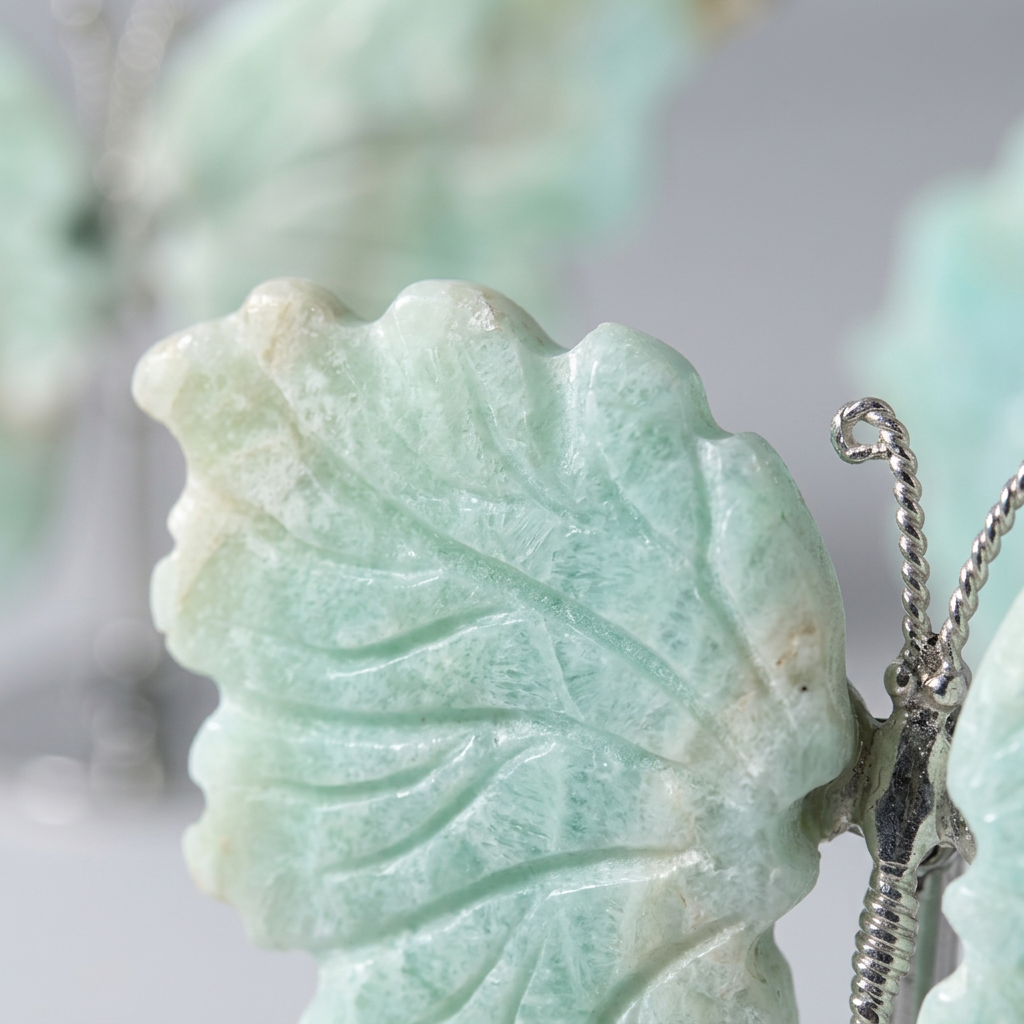 Macro close-up detail of ruffled pale green hemimorphite butterfly wing and silver antenna