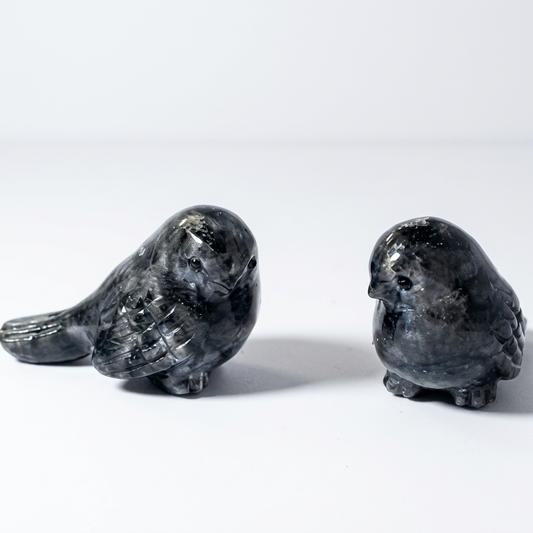 Natural Black Flash Stone Bird Carving for Intuition and Elegance